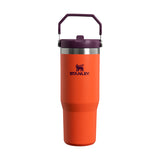 The IceFlow Flip Straw Tumbler Frost mug